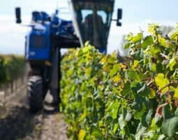 Conheça as soluções Galp para a gama alimentar