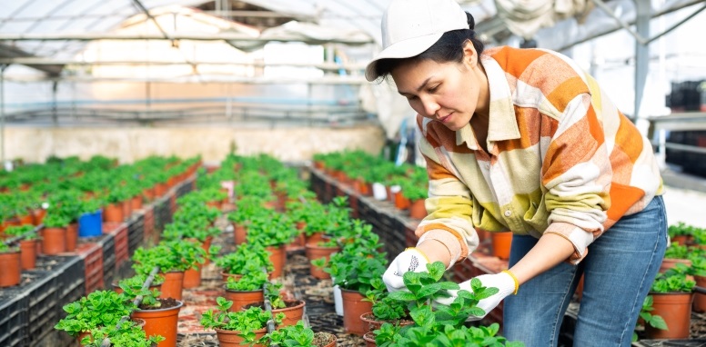 gasóleo de aquecimento