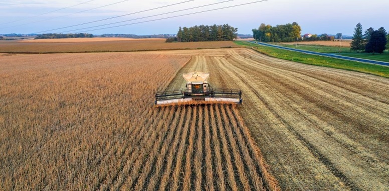 melhores óleos lubrificantes