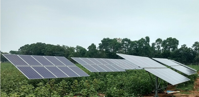 sistema agrovoltaico