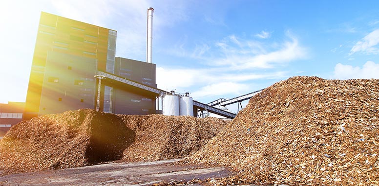 central de biomassa
