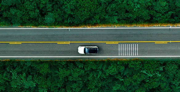 Fotografía amplia, desde una perspectiva superior, de una carretera, con un coche, flanqueada por árboles.