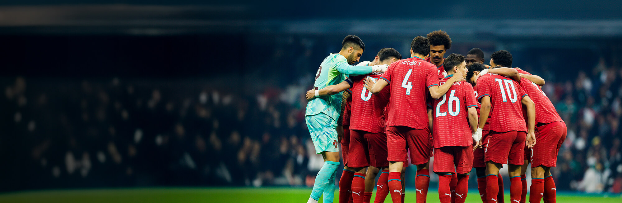 Banner Image